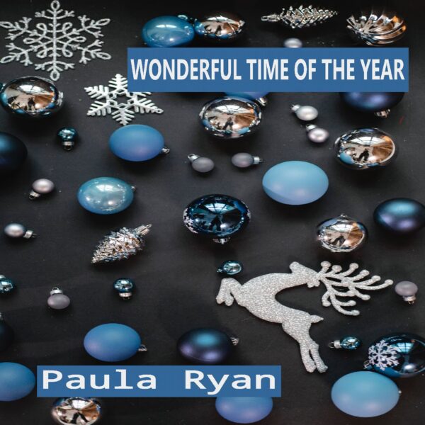 Wonderful Time Of Year Song | Paula Ryan Music